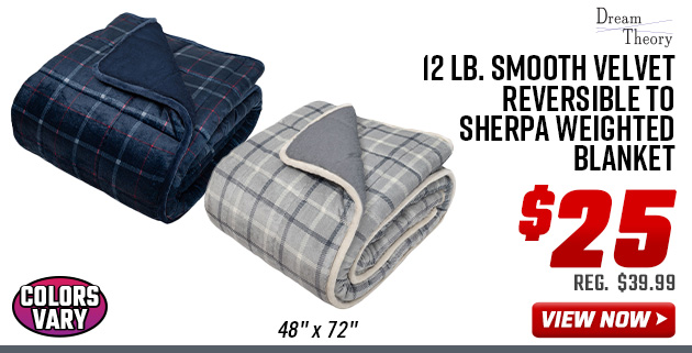 Dream Theory 12 lb. Smooth Velvet Reversible to Sherpa Weighted Blanket
