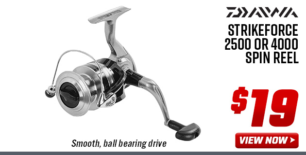 Daiwa Strikeforce 2500 or 4000 Spin Reel