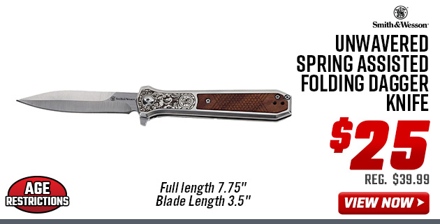 Smith & Wesson Unwavered Spring Assisted Folding Dagger Knife