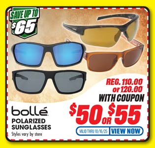 Bolle Sunglasses