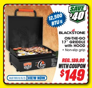Blackstone On The Go 17