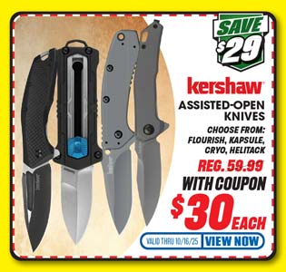 Kershaw Assisted-Open Folding Knife