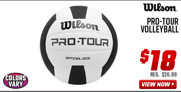 Wilson Pro-Tour Volleyball