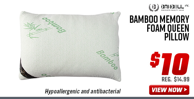 Dahdoul Bamboo Memory Foam Queen Pillow