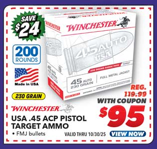 Winchester USA .45 ACP 200-Round Pack Pistol Target Ammunition