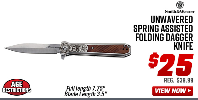 Smith & Wesson Unwavered Spring Assisted Folding Dagger Knife