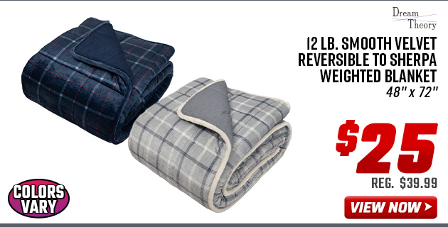 Dream Theory 12 lb. Smooth Velvet Reversible to Sherpa Weighted Blanket