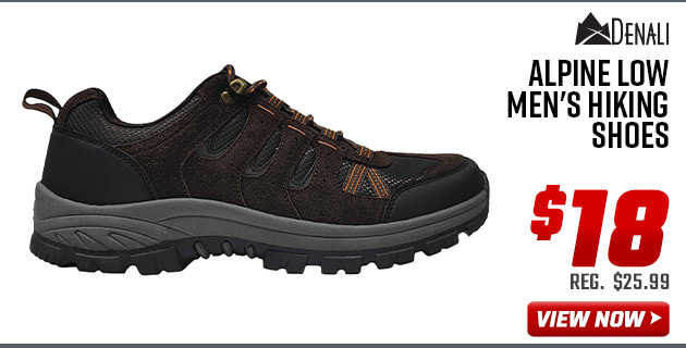 Denali Alpine Low Men's Hiking Shoes