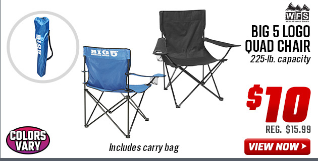 World Famous Sports Big 5 Logo Quad Chair