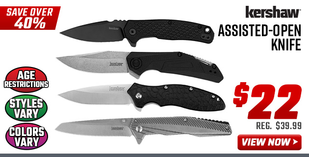 Kershaw Assisted-Open Knife