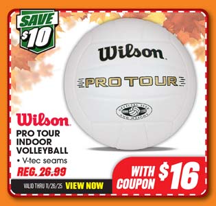 Wilson Pro-Tour Volleyball