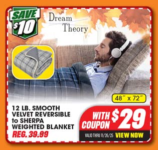 Dream Theory 12 lb. Smooth Velvet Reversible to Sherpa Weighted Blanket