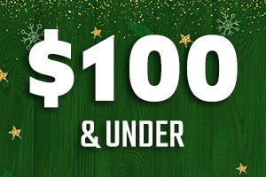 $100 & Under