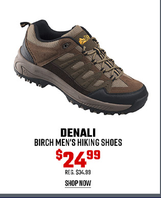 Denali Birch Men's Hiking Shoes
