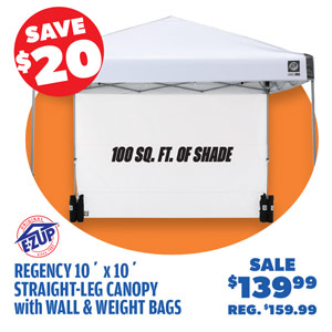 E-Z UP Regency 10' x 10' Straight Leg Canopy with Side Wall and 4 Weight Bags