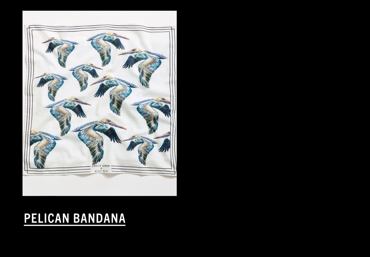 Pelican Bandana
