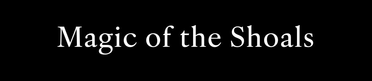 Magic of the Shoals