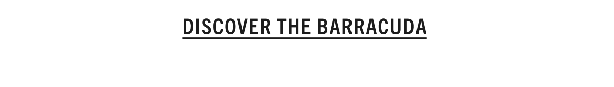 DISCOVER THE BARRACUDA