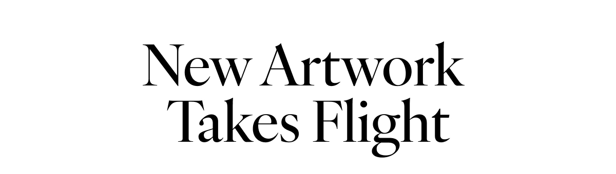 New Artwork Takes Flight