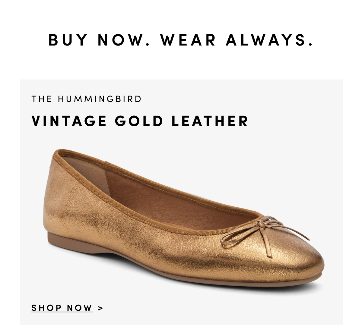 Hummingbird Vintage Gold Leather