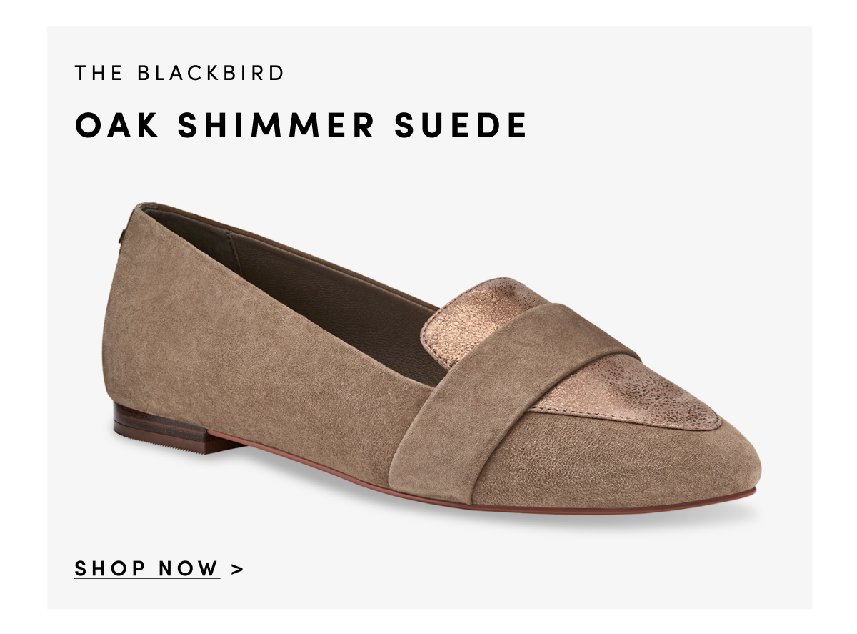 The Blackbird Oak Shimmer Suede