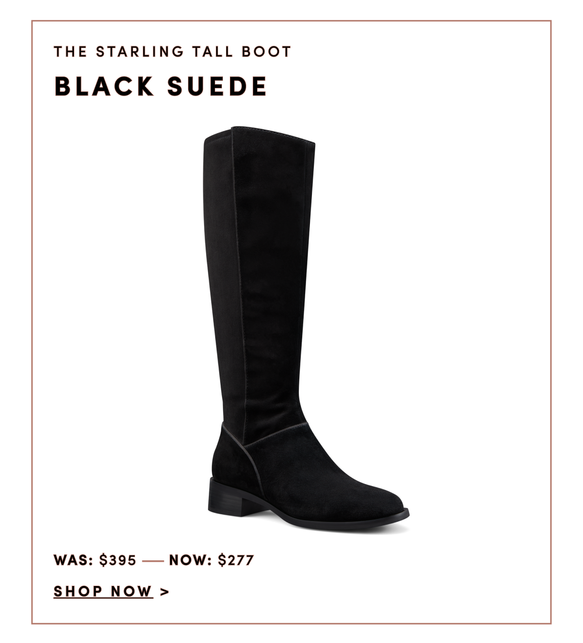 Starling Tall Boot Black Suede