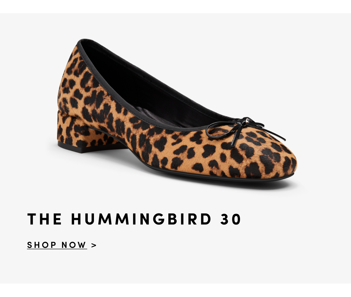 The Hummingbird 30