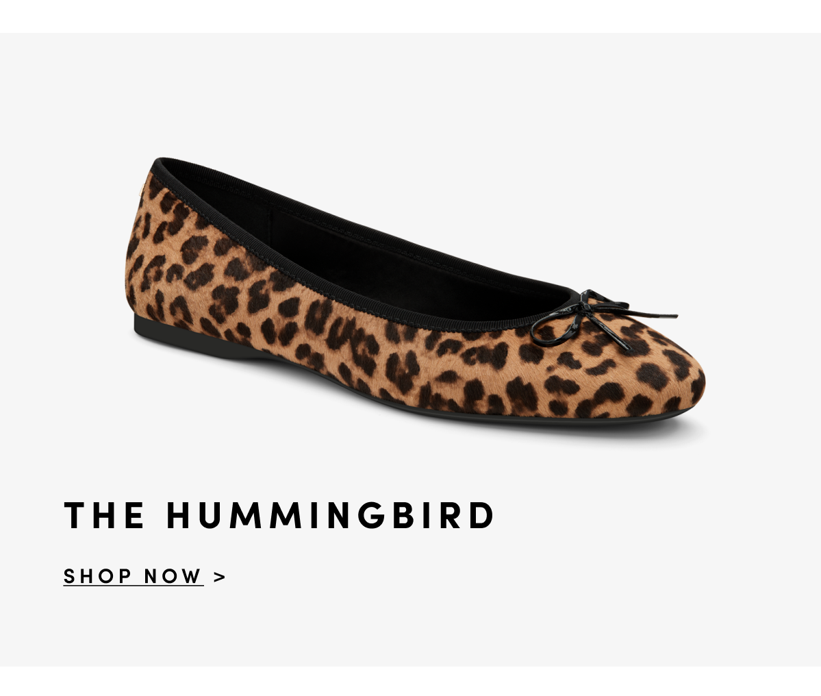 The Hummingbird