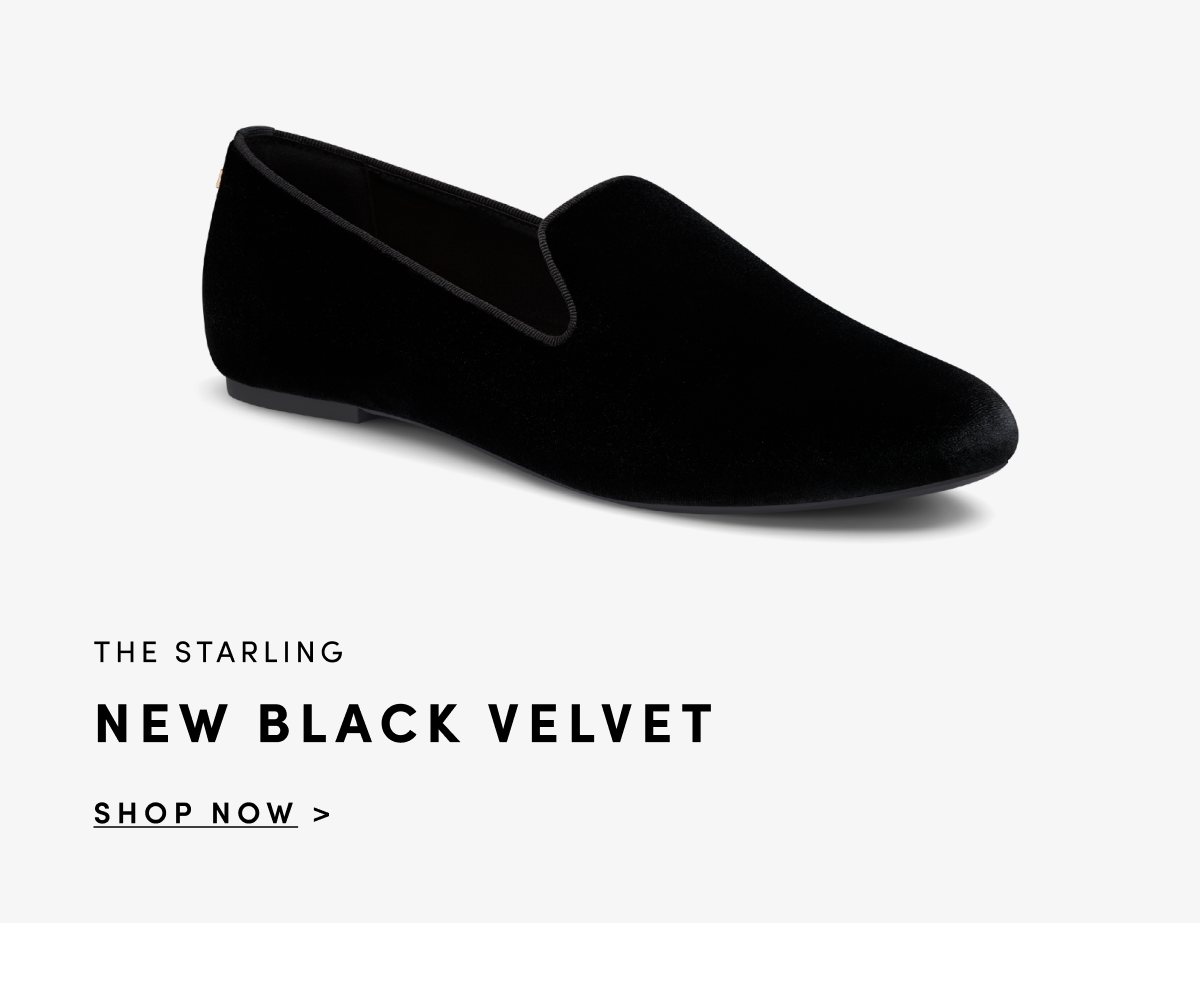 Starling Black Velvet