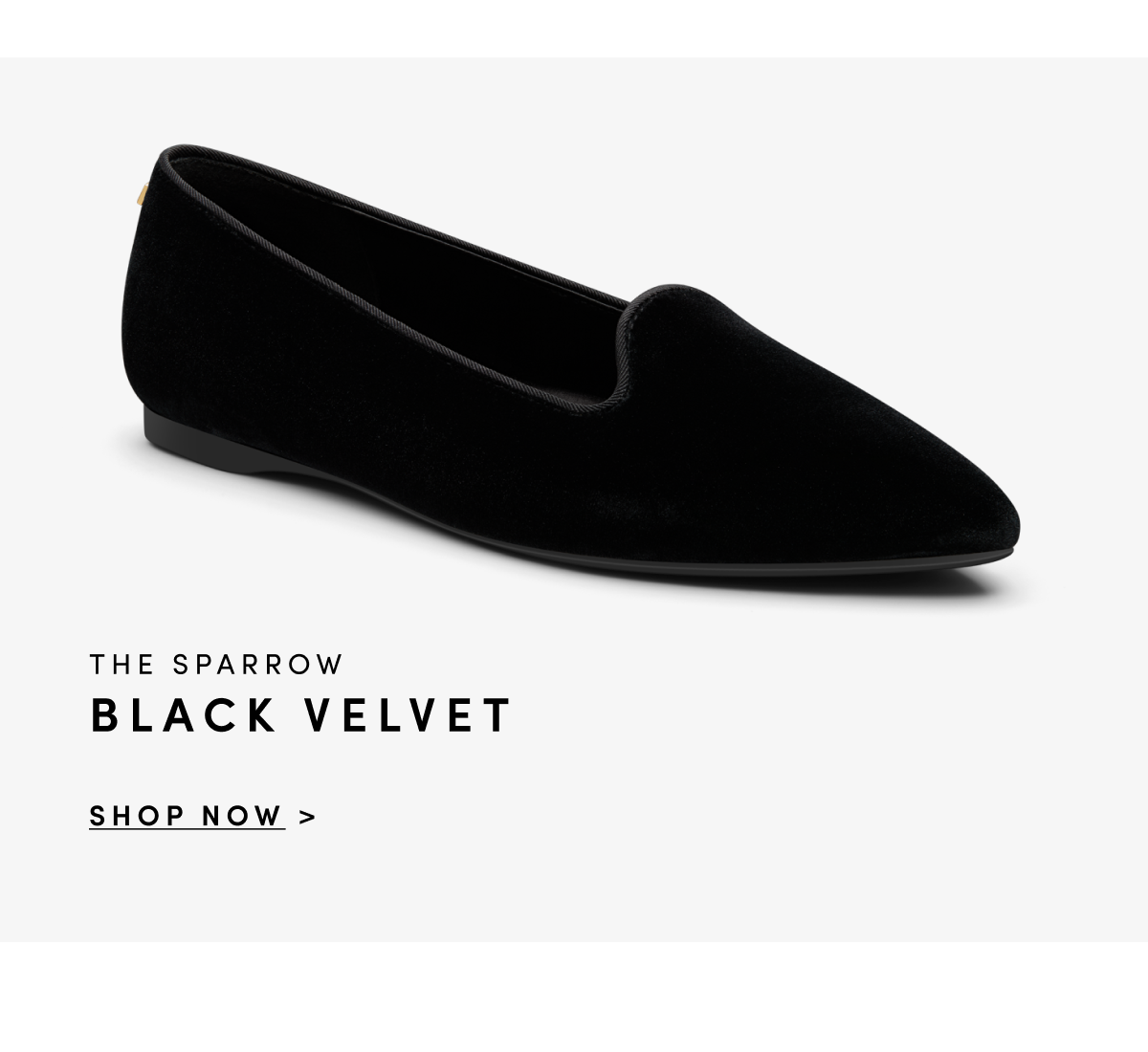 Sparrow Black Velvet