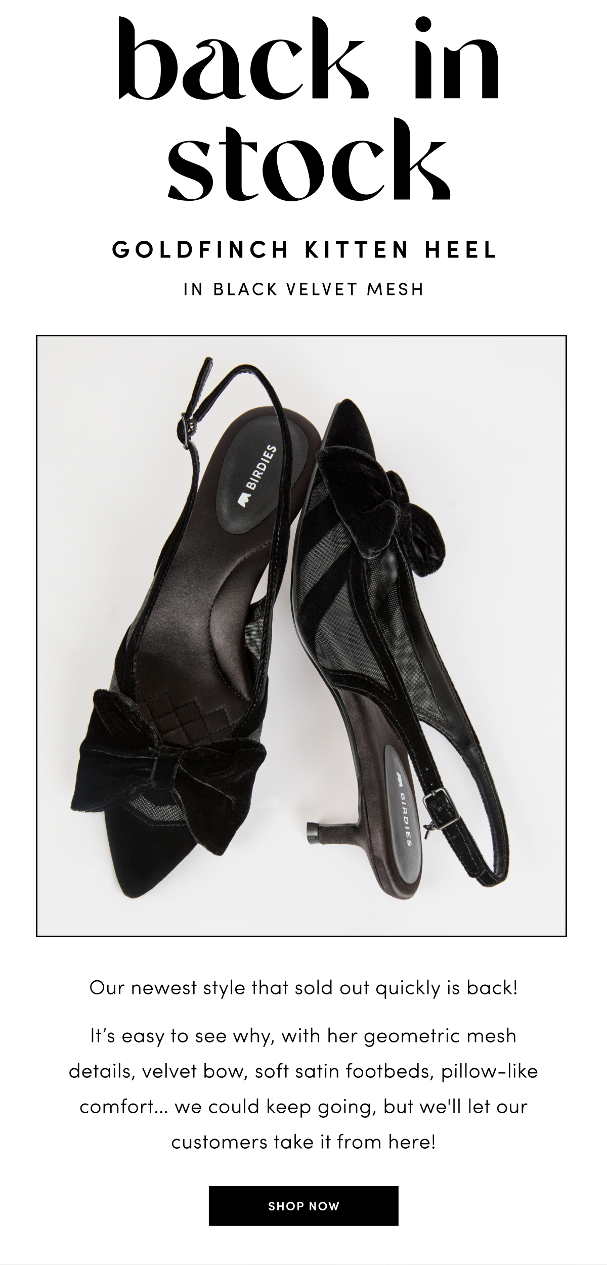 Back in stock: Goldfinch Kitten Heel in Black Velvet Mesh