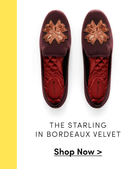 The Starling in Bordeaux Velvet 