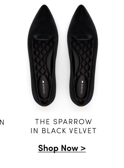 The Sparrow in Black Velvet