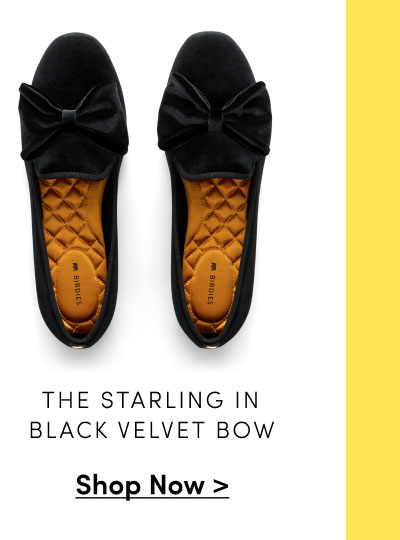 The Starling in Black Velvet Bow