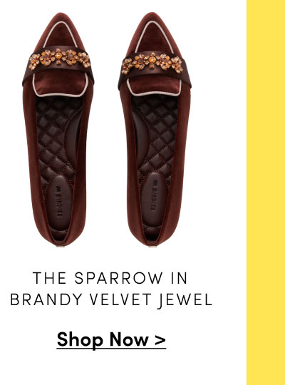 The Sparrow in Brandy Velvet Jewel