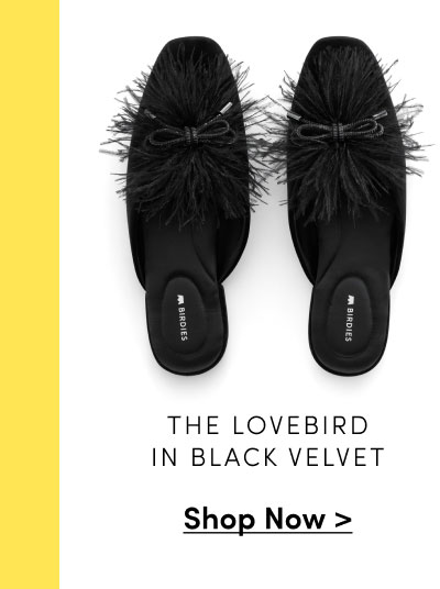 The Lovebird in Black Velvet