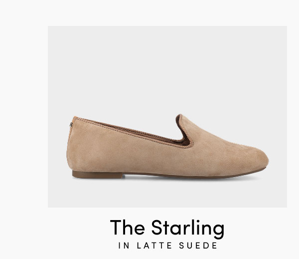 The Starling In Latte Suede