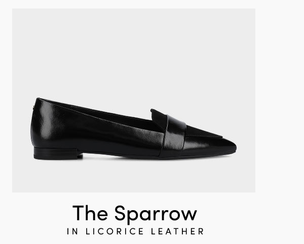 The Sparrow In Licorice Leather