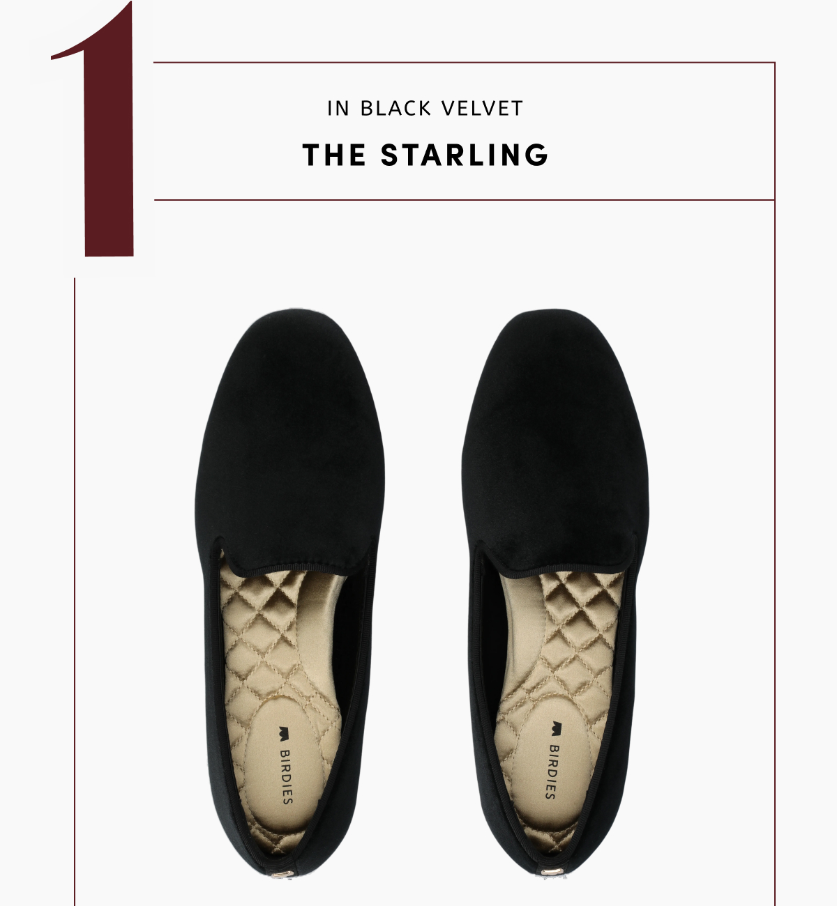 The Starling In Black Velvet