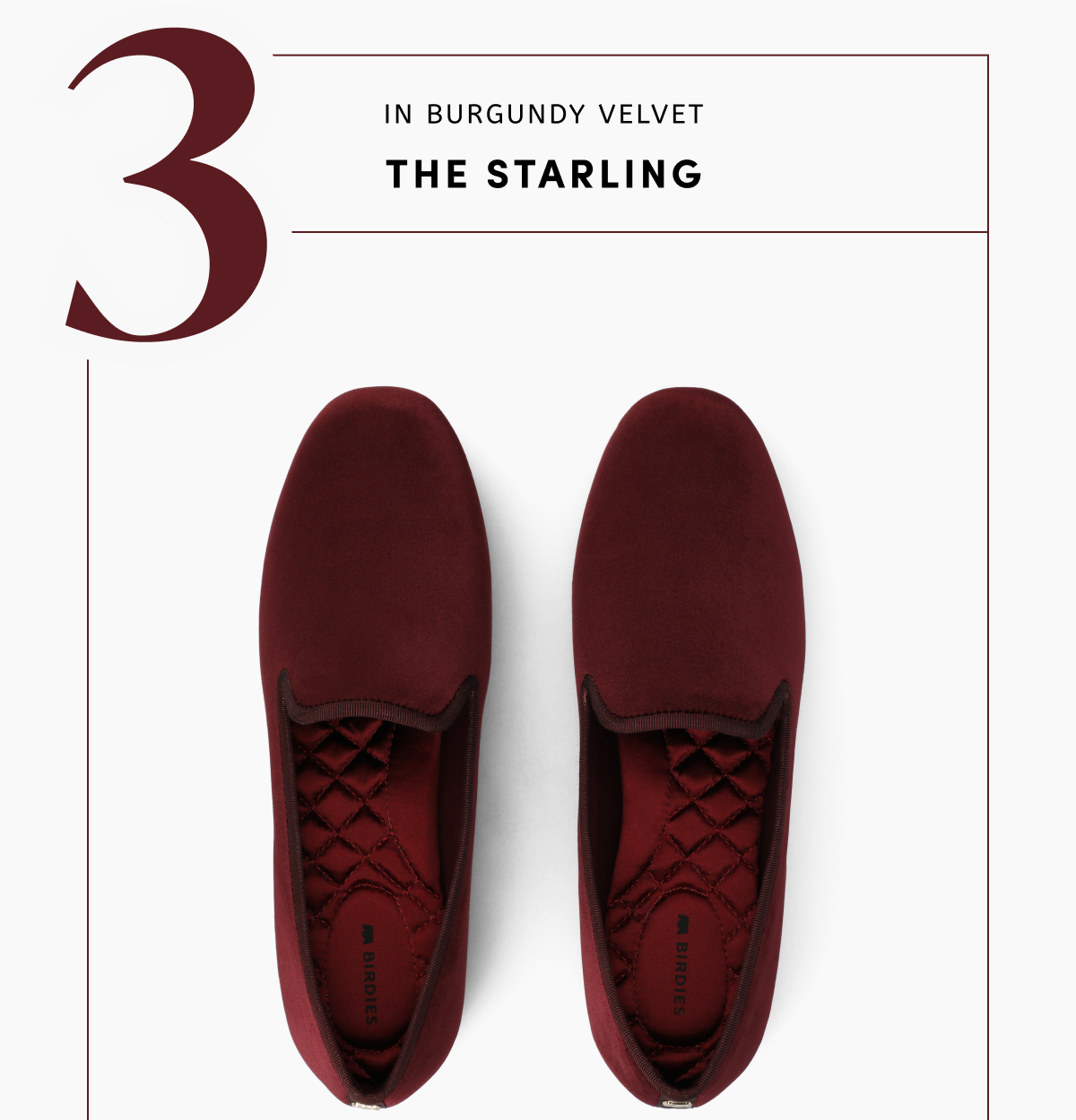 The Starling In Burgundy Velvet