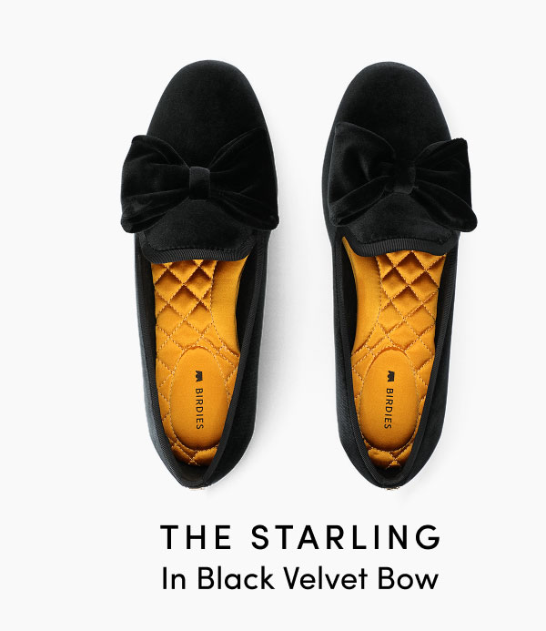The Starling In Black Velvet Bow
