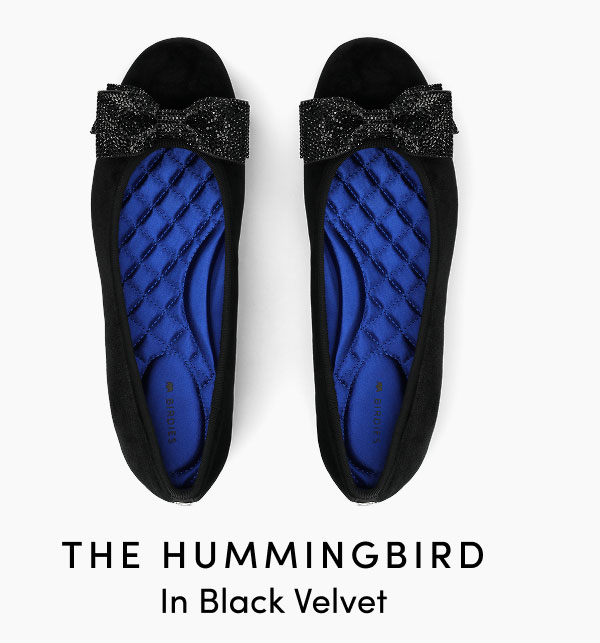 The Hummingbird In Black Velvet