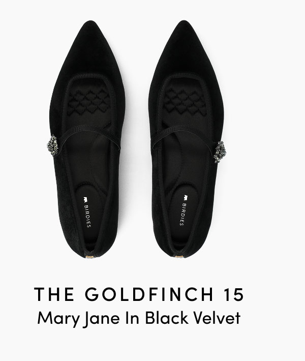 The Goldfinch 15 Mary Jane In Black Velvet