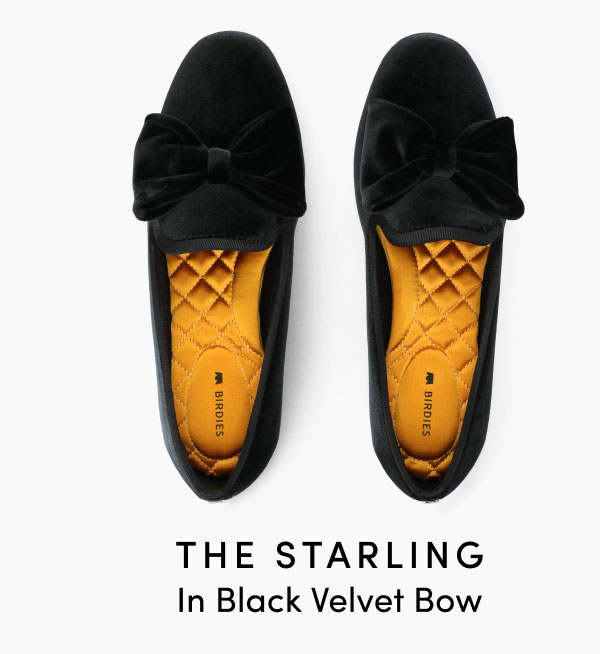 The Starling In Black Velvet Bow