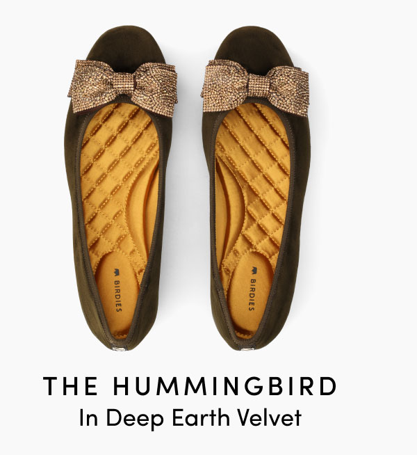 The Hummingbird In Deep Earth Velvet