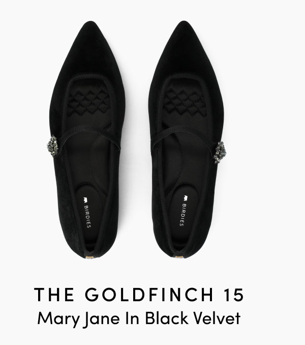 The Goldfinch 15 Mary Jane In Black Velvet