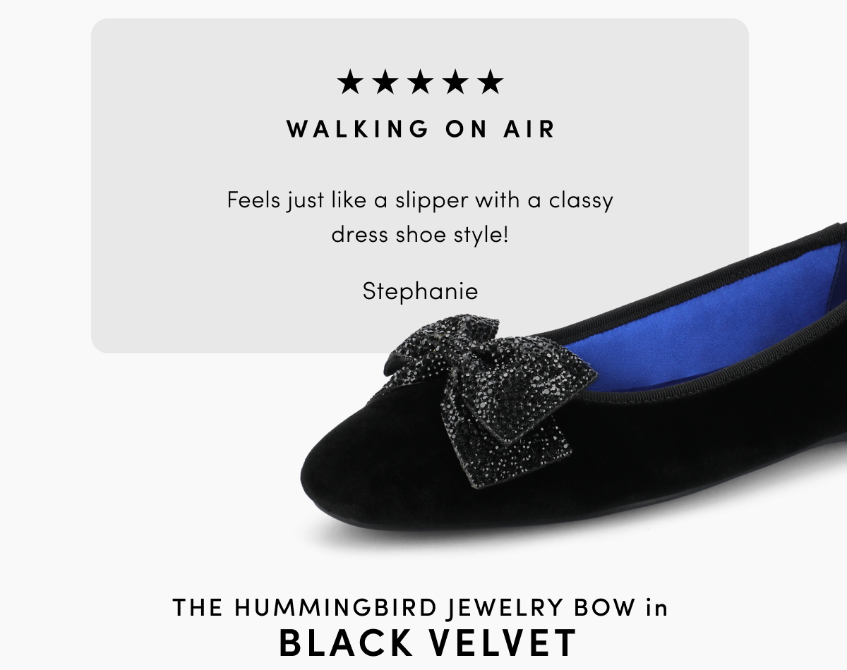 The Hummingbird Jewelry Bow In Black Velvet
