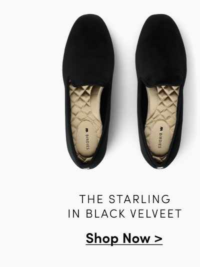 The Starling In Black Velvet