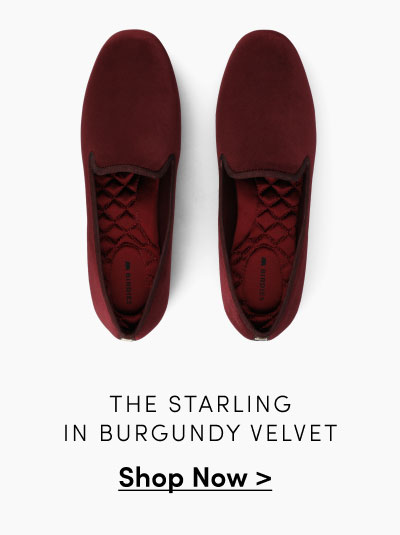 The Starling In Burgundy Velvet