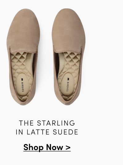 The Starling In Latte Suede